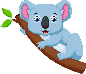 Cute koala cartoon on a tree