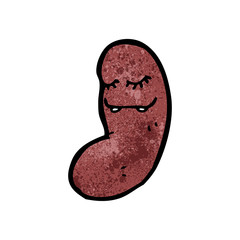 cartoon kidney