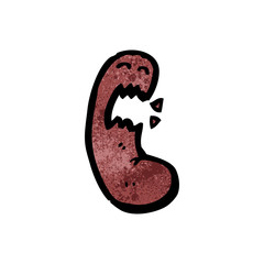 cartoon kidney