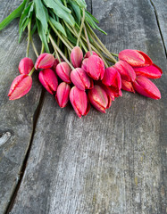red tulips on rustic wooden surface