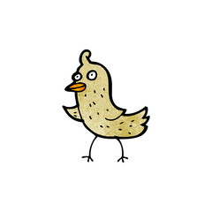 little cartoon bird