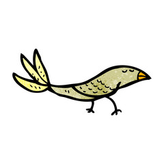 cartoon bird