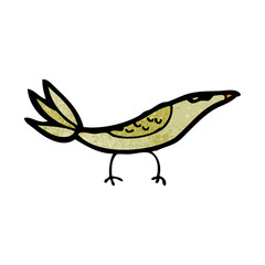 cartoon bird