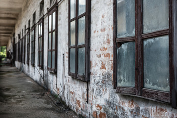 windows of an abandoned factory