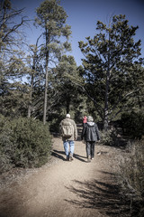 Hikers on a trail