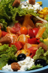 सलाद Saláta Ensalada Insalatona ܙܠܛܐ Insalata Salade Salad Salat Gericht Աղցան 샐러드 Салат סלט 
