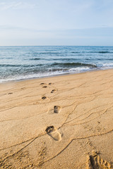footprints in wet sand beach walk through a sea