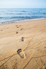 footprints in wet sand beach walk through a sea