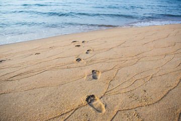 Fototapeta na wymiar footprints in wet sand beach walk through a sea