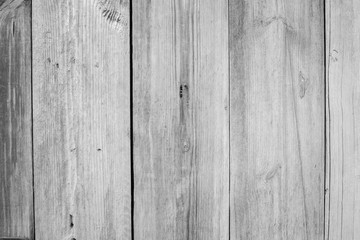 White old wood texture background.
