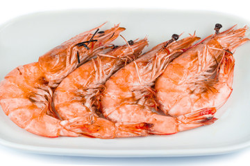 Shrimp on white plate