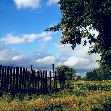 fence and landscape