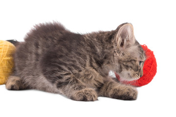 Little kitten with red ball of wool.