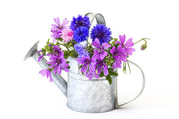 wildflowers in watering can, © Miroslawa Drozdowski