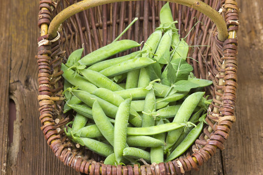 wicker basket full of green peas on wooden background