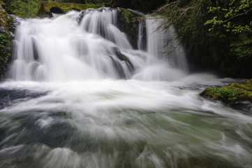 Fototapeta na wymiar Cedar Creek Waterfalls