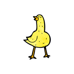 cartoon bird