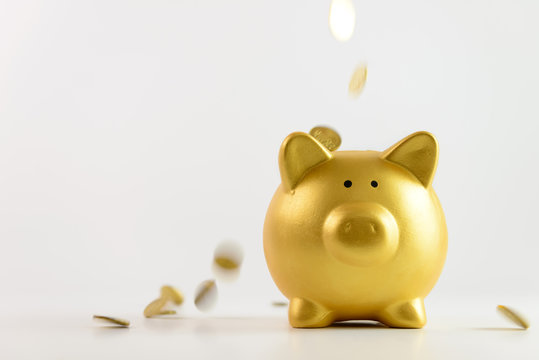 Gold piggy bank, Illustration - Stock Image - F012/7079 - Science Photo  Library