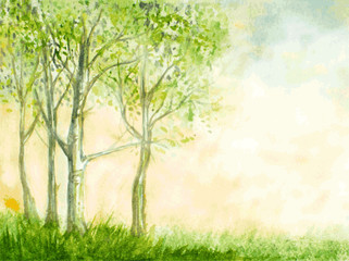 Naklejka na ściany i meble birch trees watercolor vector illustration. abstract nature back