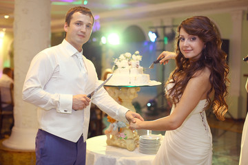 wedding cake Newlyweds portrait