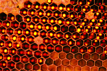 Closeup Beehive for Background Uses.