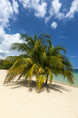 Beach on tropical island. Clear blue water, sand, palms. 