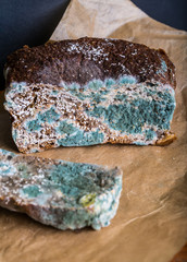 Moldy sliced brown bread