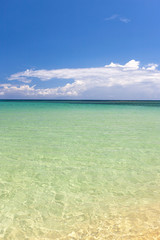 Beach on tropical island. Clear blue water and sky 
