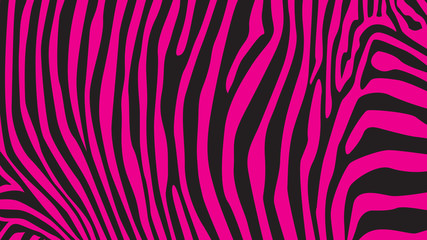 Pink zebra stripes pattern, illustration - obrazy, fototapety, plakaty