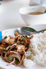 Sliced grilled pork  salad with steamed rice in thai food. It's name is Naam Tok Moo