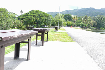 road, tree and wooden seat in the park