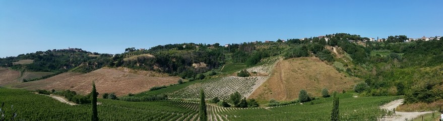 Fototapeta premium Winnica w Toskanii
