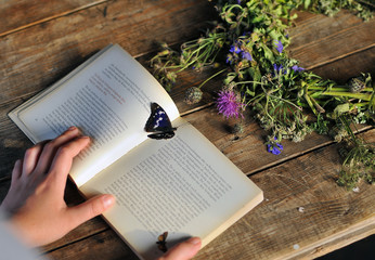 Book on wooden table with flowers, butterfly in the  village