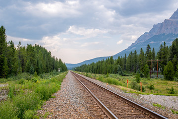 Fototapeta premium train track runs thru a beautiful mountain 