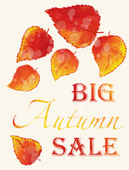 Autumn Sale poster.