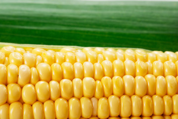 Corn