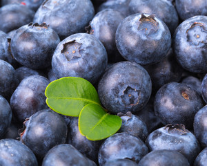 blueberries