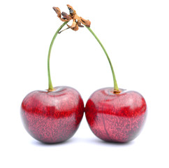 Cherry/Two cherries on a white background