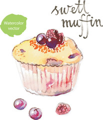 Watercolor muffin