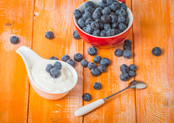 White bowl with yogurt and blueberries