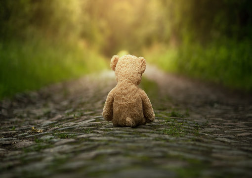 Naklejki Lonely teddy bear on the road