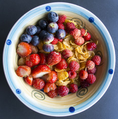 A Bowl of fruit and Cereal