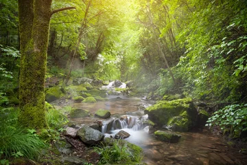 Tuinposter Waterfall in forest © Li Ding