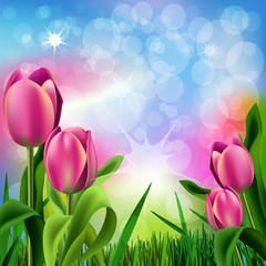 Tulips Background