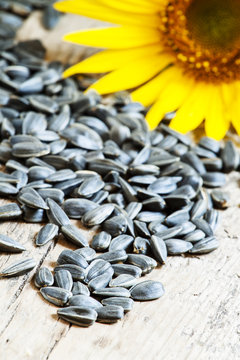 Sunflower seeds on a wooden background, selective focus