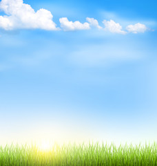 Obraz na płótnie Canvas Green grass lawn with clouds and sun on blue sky