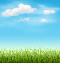 Fototapeta na wymiar Green Grass Lawn with Clouds on Light Blue Sky