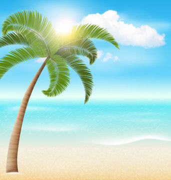 Beach with Palm and Clouds. Summer Vacation Holiday Background