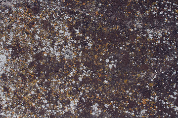 texture