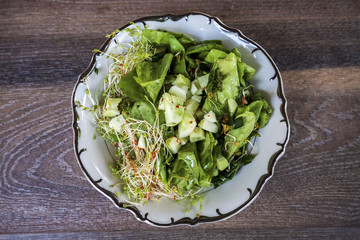 Organic green salad with sprouts and cucumbers